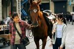 「ワーオ!」映画「ライド・オン」