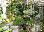 丸井氏庭園(倉吉)登録へ 国登録記念物、文化審答申 茶の湯文化、今に伝える