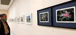 感性光る作品魅了 5日まで米子市写真家協会展