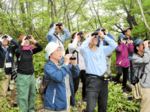 30種の野鳥確認 大山でバードウオッチング