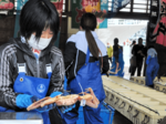山陰沖のズワイガニ漁が解禁 浜坂漁港で初競り1匹280万円