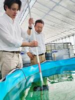 画像AIが養殖支援