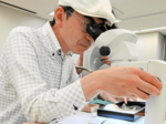 「変形菌」に親しむ野外観察会 鳥取県立博物館