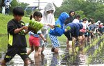 秋の収穫を楽しみに 伯耆町で親子連れらが田植えに挑戦