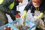 廃食油50万トン、争奪戦