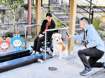 介助犬と巡る新温泉の旅 4者コラボ企画 SNS配信へ撮影会 バリアフリーの現状や観光地発信
