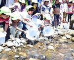 「大きくなってね」園児が稚アユ放流 智頭の千代川