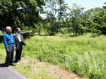 住民熱意、国と県動かす 国有地を松林に整備へ 米子・和田 431号西側