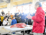 浜坂の豊かな魚介堪能 海鮮まつり アカイカ解体ショーも