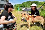 山陰柴犬鑑賞会 4年ぶりに開催 県内外から過去最高の集いに