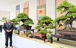 自然美感じる盆栽並ぶ 倉吉で岩山さん作品展