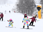スキー客、前季比半減 雪不足で休業響く 今季但馬地域