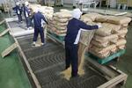 流通遅れ、精米や事務作業に時間