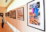 但馬の日常や風景並ぶ 学校厚生会 木の殿堂で写真展