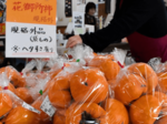 柿の出荷量4割超減少 鳥取県内 カメムシ大発生が一因