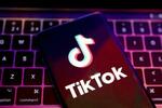 TikTokに制裁金870億円