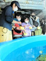 生き物と間近で触れ合い 城崎マリンワールド バックヤードツアー復活