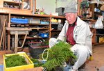 次代託す「もてなしの心」 智頭特産「杉玉」再興へ 若手林業家ら習得意欲