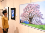 地元の「お気に入り」切り取る 青谷で写真愛好家作品展