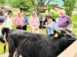 豪州から但馬牛視察 牧場公園 ツアー客ら特徴学ぶ