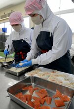 サーモンバーガーを下準備 境港総合高 10日、漁村市で販売へ