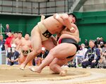 お家芸14年ぶり歓喜 相撲成男 燃ゆる感動かごしま国体2023 第9日