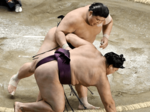 新たなる境地へ 最速新入幕の伯桜鵬(上)目覚ましい成長 幕内経験者ら撃破 立ち合いには課題も