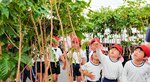 澤井珈琲で栽培 コーヒーの木「大きい」 聖心幼稚園園児ハウスを見学
