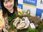鳥取県産イワガキ「夏輝」初出荷 県庁でPR