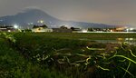 1匹また1匹と ゲンジボタル舞う 米子・春日地区