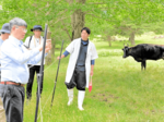 伝統が世界の宝に 但馬牛さらなる振興期待 農業遺産認定