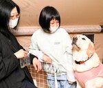 犬との共生 教育に スクールドッグ鳥取で体験催し 自主性や養護性育む