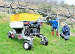 梨農家の強い味方に!? 香住 クボタ開発中の農機実演 遠隔操作で傾斜地走行
