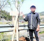 桜の花 早く咲いて 「鹿田桜街道」に若木植樹