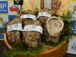 「夏輝」出荷スタート 県産天然イワガキ 「海の味感じて」推進協がPR