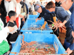冬の味覚に舌鼓 松葉がにまつり 多彩ステージも 香住