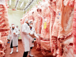 白鵬85の3の子が7年連続グランドチャンピオン 鳥取県畜産共進会「肉畜の部」
