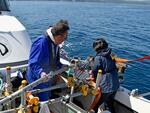 輪島海底に長さ2キロの段差