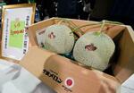 夕張メロン、2玉で300万円