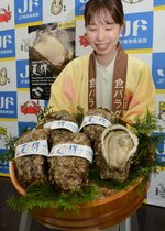 【新着】「夏輝」出荷スタート 県産天然イワガキ 「海の味感じて」推進協がPR