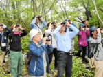 30種の野鳥確認 大山でバードウオッチング