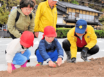 春の開花楽しみ 村岡LC、園児と球根植え
