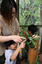 燕趙園で「ふれあい昆虫展」開幕