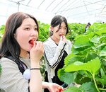 「ほくラボ」に学生視点 鳥取短大生、まちづくり参画 12月に解決策提言