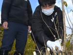 原料の刈り取りから、紙すき、染色まで 青谷中生が因州和紙作り体験