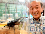 童心くすぐる 世界の昆虫展 きょう開幕