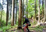 智頭に吹く風 ~町長選挙を前に~(上) 林業・産業振興 多様な働き方で人材確保