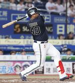 西武、セデーニョを獲得