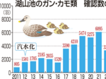 変わる池 湖山池汽水化12年(下)劇的な変化 種の多様性が低下