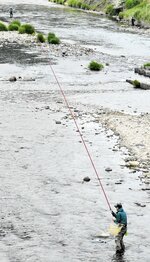 太公望ら初物狙う 但馬地域の各河川 アユ漁解禁
